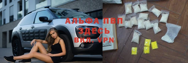 стаф Балахна