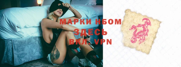стаф Балахна