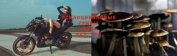 стаф Балахна