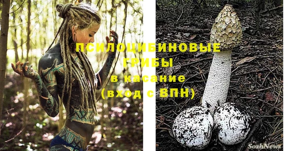 гашик Баксан