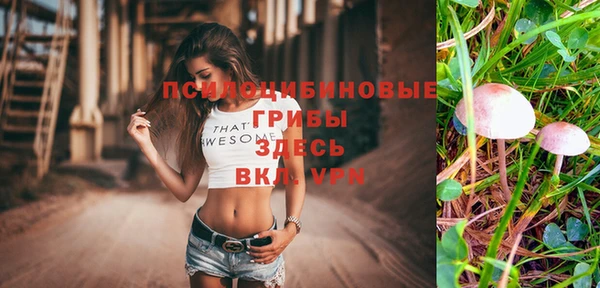гашик Баксан