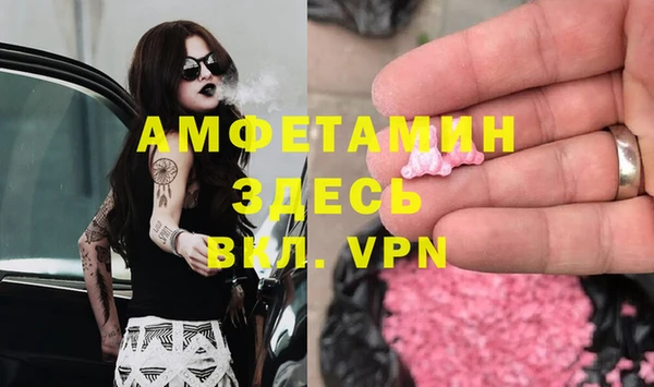 стаф Балахна